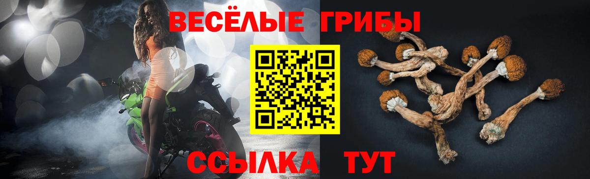 Псилоцибиновые грибы Cubensis Славгород
